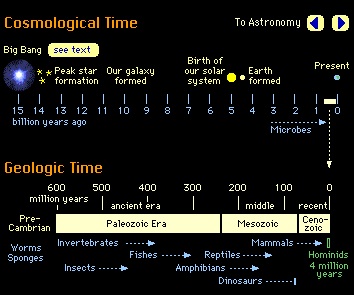 cosmos cosmos