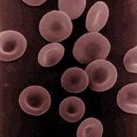 oxygen-travel-cell-body-200X200