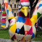 DSC_0982 DSC_0982