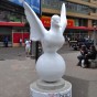DSC_0983 DSC_0983