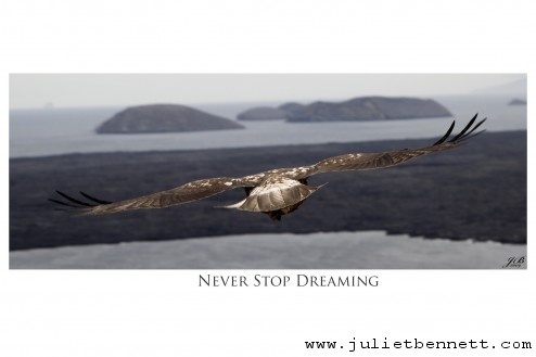 never stop dreaming sm